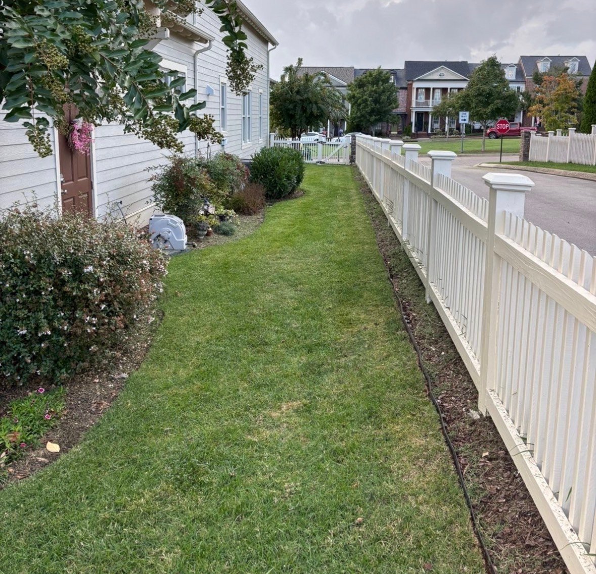Clean driveway after debris removal service