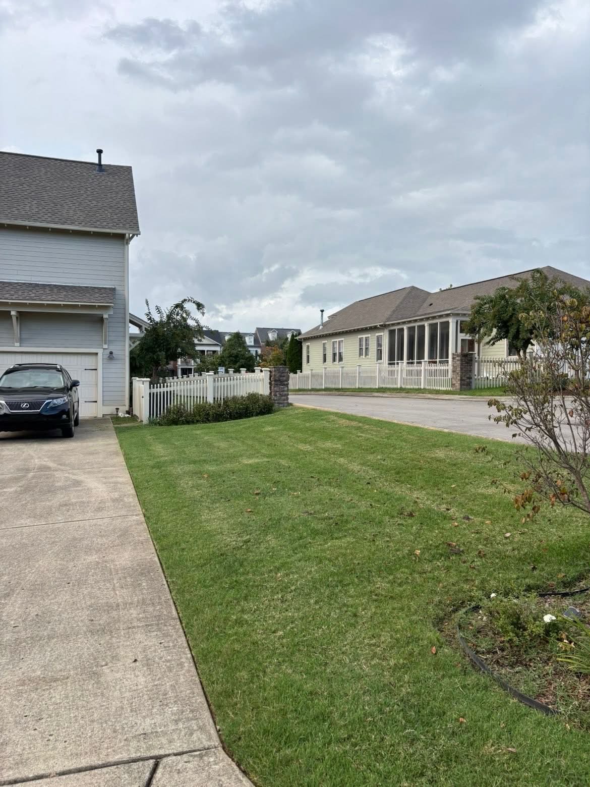 Freshly mowed lawn with crisp stripes